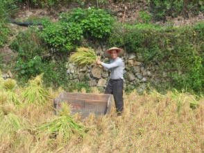 馬家溪村