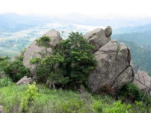 東田鎮