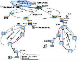 城市傳輸網