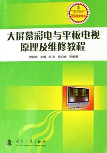 大螢幕彩電與平板電視原理及維修教程