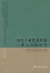 印度工業化進程中產業結構的演變：印度發展模式初探