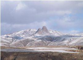 神頭山