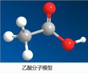 乙酸分子模型