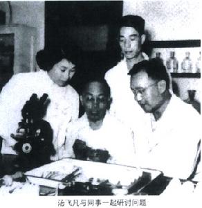 Tang Fei-fan