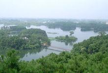 玉龍山國家森林公園