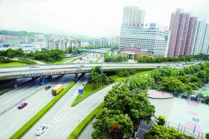 深南大道[深圳道路名稱]