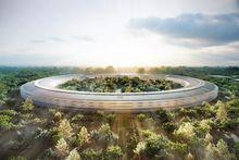 Apple Campus 2 （飛船總部）