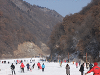 甘山森林公園