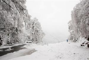 冬雪覆蓋