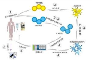 鏈式多細胞生物免疫療法