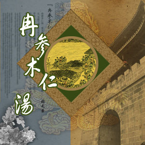 冉參術仁湯