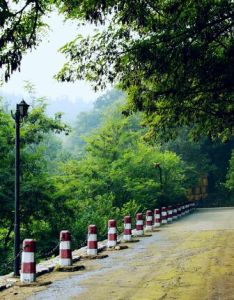 原山國家森林公園