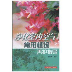 淨化室內空氣常用植物養護指導