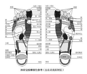 沐浴寶按摩部位參考