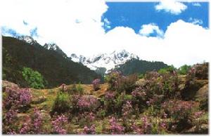 高原山地性氣候