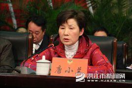 唐小蘭[中共洪江市委常委、市紀委書記]