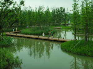 丁塘河濕地公園