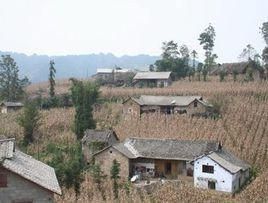 茶元村[雲南省昭通市彝良縣洛旺鄉茶元村]