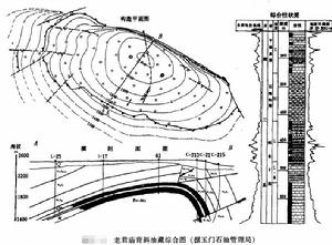 背斜油氣田