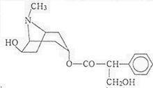 消旋山莨菪鹼片