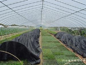 四川香草植物園