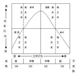 領導生命周期理論