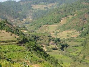 清沙地村自然資源——山地