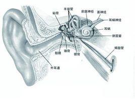 滴耳療法