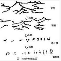 大米澱粉