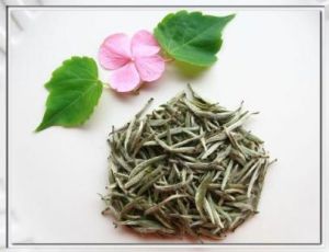 Bai Mudan tea