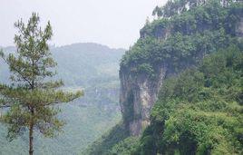 烏龍山[湖南省湘西州烏龍山]