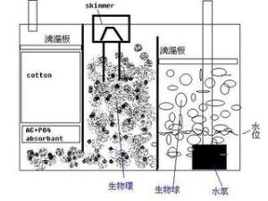 交代淨邊結構