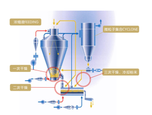 MSD示意圖