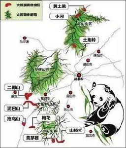 集群分布