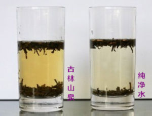 冷水泡茶