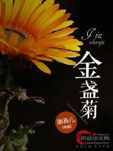 金盞菊[風起中文網小說]