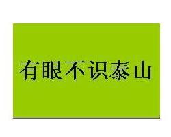 有眼不識泰山[漢語詞語]