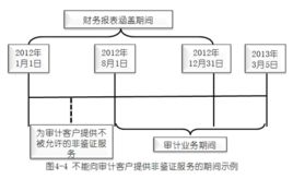 非鑑證服務