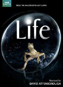 life[英國2009年發行紀錄片]