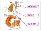 結石病