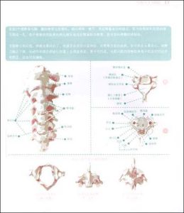 《頸椎呵護100招》