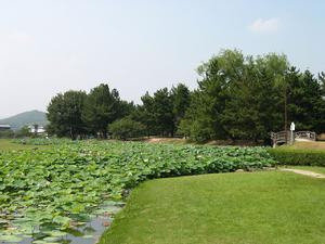 本丸址公園