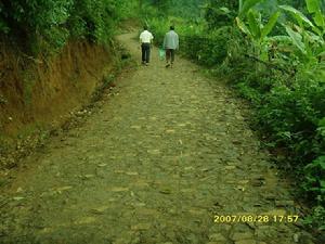 進村道路