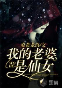 我的老婆是仙女[黑岩網小說]