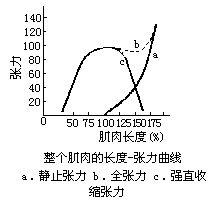 長度—張力曲線