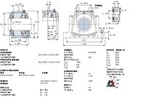 SKF SNL3076-13.15-16LTURT軸承