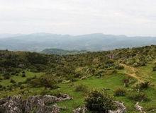 茂雲山國家森林公園