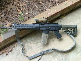 SIG 556