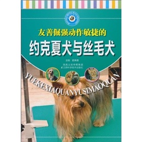 友善倔強動作敏捷的約克夏犬與絲毛犬