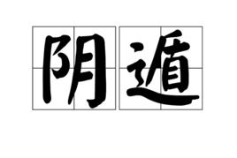 陰遁[中國奇門遁甲用語]